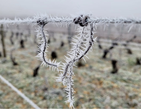 7a2f54ee-7e11-4bf1-94b3-d78586620377