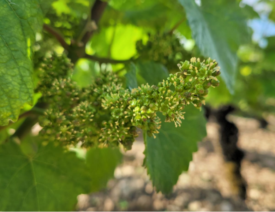 PHOTO-2024-07-26-13-06-51