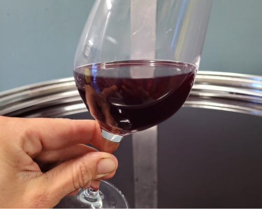 PHOTO-2024-07-26-13-06-53 2