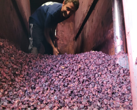 PHOTO-2024-07-26-13-06-53 4