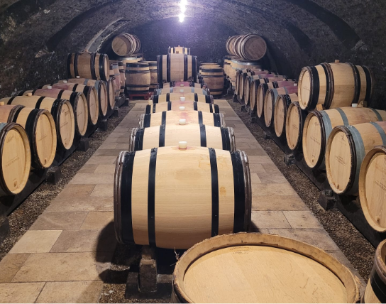 domainedubuetmonthelie-cave